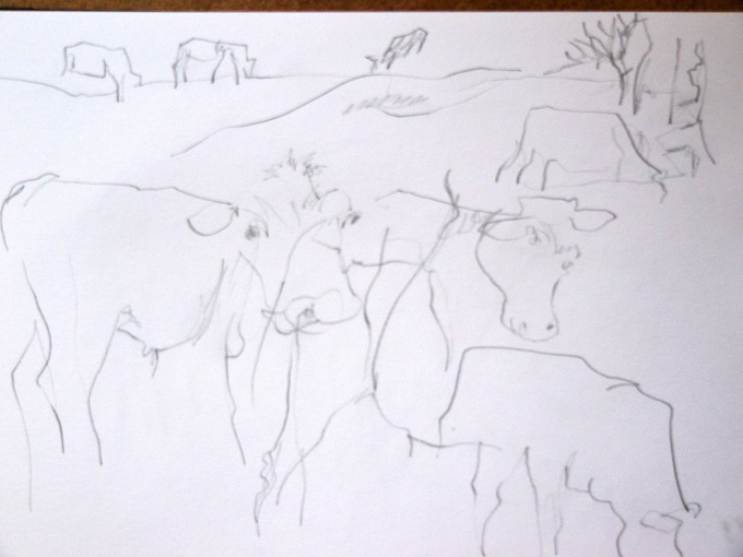 Cow Drawings in Biarra Landscape.